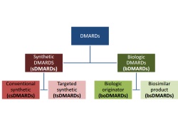 Publication thumbnail: Proposal for a new nomenclature of disease-modifying antirheumatic drugs