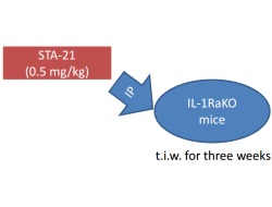 Publication thumbnail: STA-21, un inhibidor prometedor de STAT3 que regula recíprocamente los linfocitos Th17 y Treg, inhibe la osteogénesis y alivia la inflamación autoinmune