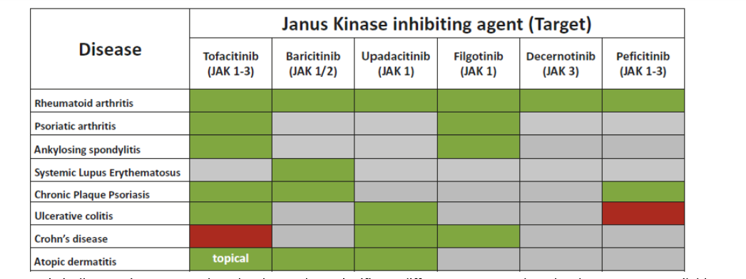 Publication thumbnail: Points to consider for the treatment of immune-mediated inflammatory diseases with Janus kinase inhibitors:  a systematic literature research
