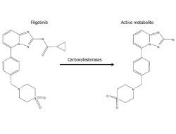 Publication thumbnail: Pharmacokinetics and Pharmacokinetic/Pharmacodynamic Modeling of Filgotinib (GLPG0634), a Selective JAK1 Inhibitor, in Support of Phase IIB Dose Selection
