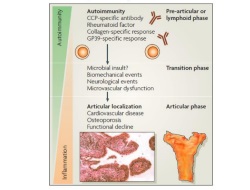 Publication thumbnail: Cytokines in the pathogenesis of rheumatoid arthritis