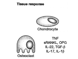 Publication thumbnail: Cytokine networks—towards new therapies for rheumatoid arthritis