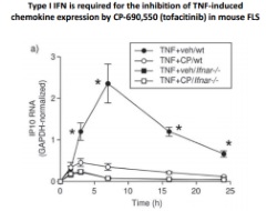 Publication thumbnail: The JAK inhibitor CP-690,550 (tofacitinib) inhibits TNF-induced chemokine expression in fibroblast-like synoviocytes: autocrine role of type 1 interferon