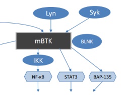 Publication thumbnail: Ibrutinib and novel BTK inhibitors in clinical development
